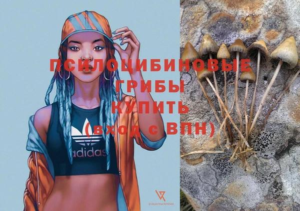 тгк Киреевск