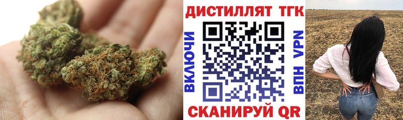 Купить где  Яранск  ТГК концентрат 