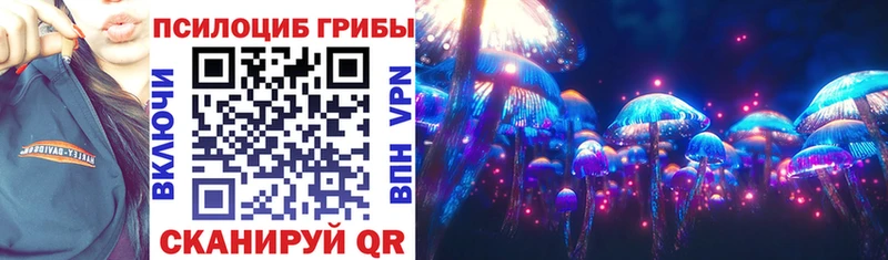Галлюциногенные грибы мицелий  Купить закладки  Яранск 